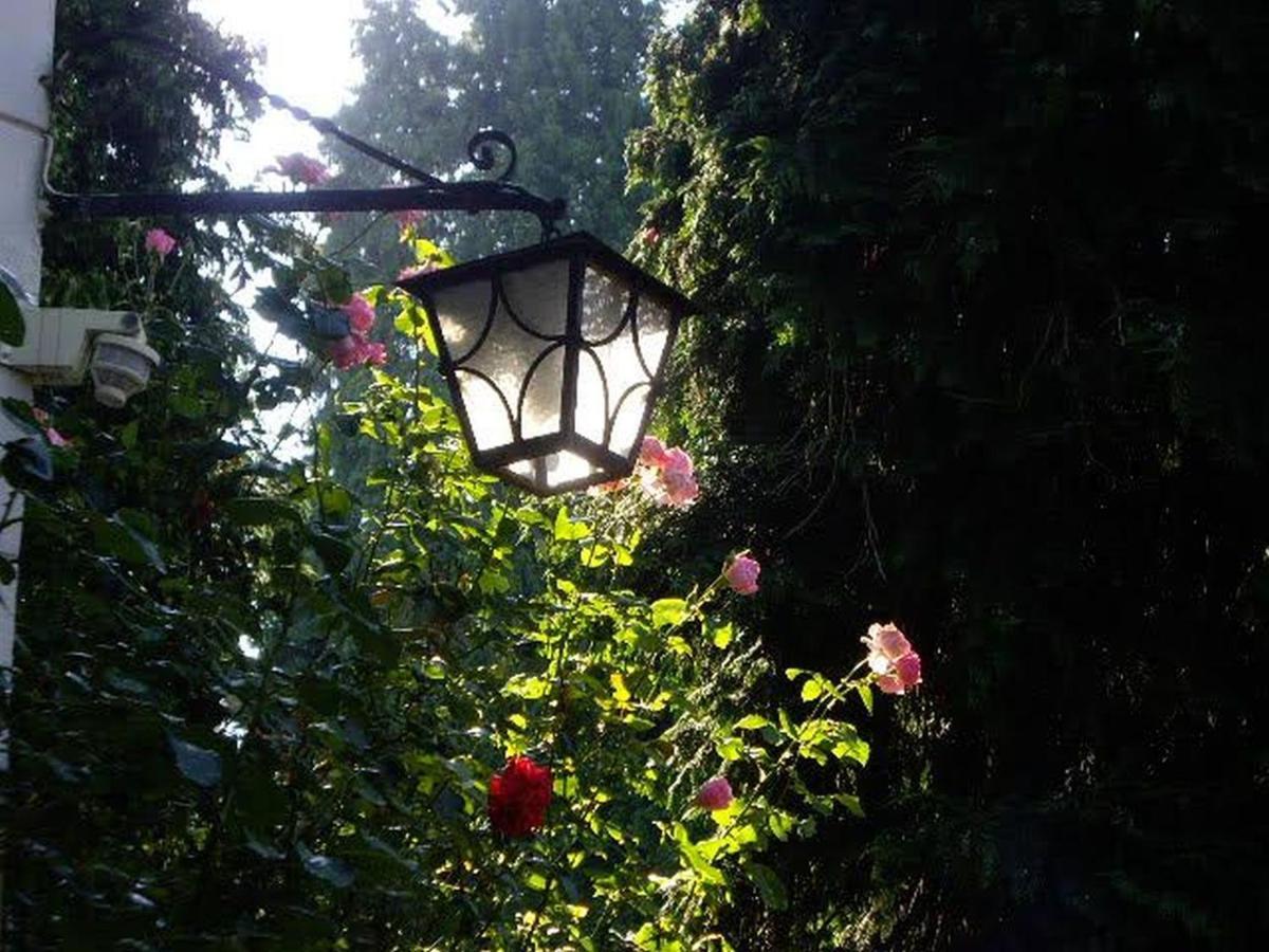 Villa Martha Μπάντενβαϊλερ Εξωτερικό φωτογραφία